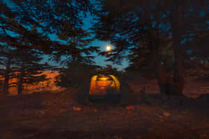 Beach Camping Bliss Wallpaper