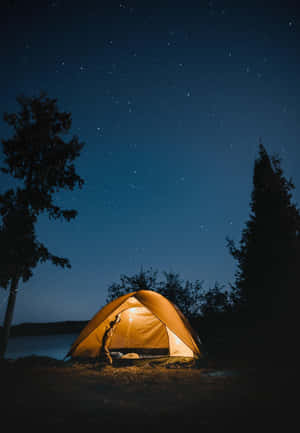 Beach Camping Under The Starlit Sky Wallpaper
