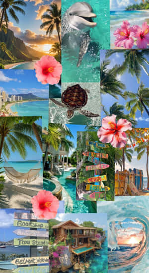 Beach Coconut Girl Vibes Wallpaper