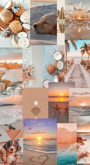 Beach Coconut Girl Vibes Wallpaper