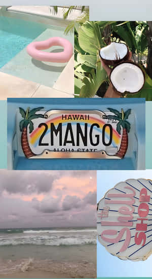 Beach Coconut Girl Vibes Wallpaper