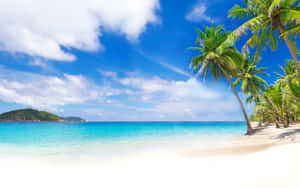 Beach Getaway Dream Vacation Wallpaper