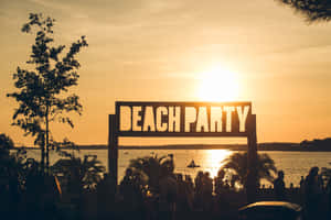 Beach Party 2048 X 1367 Wallpaper Wallpaper