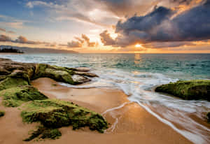 Beach Sand Aesthetic Hawaii Wallpaper