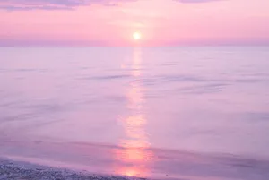 Beach Sunset Pink Sky Hd Wallpaper