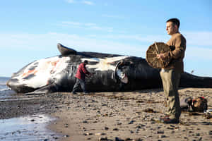 Beached Right Whale Ceremony Wallpaper