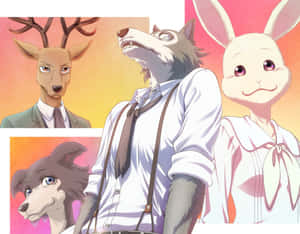 Beastars Character Collage Anime Wallpaper