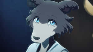 Beastars Juno Character Shot Wallpaper