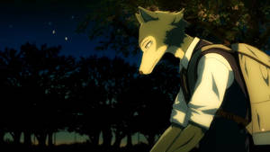 Beastars Sad Legosi Wallpaper