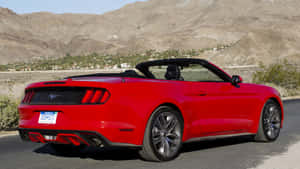 Beastly Elegance: Ford Mustang Ecoboost On Display Wallpaper