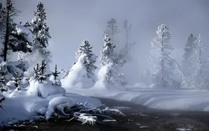 Beautiful 1920x1080 Winter Desktop Wallpaper