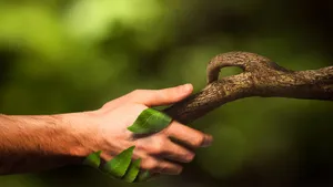 Beautiful Aerial View Of A Busy City Wallpaper
