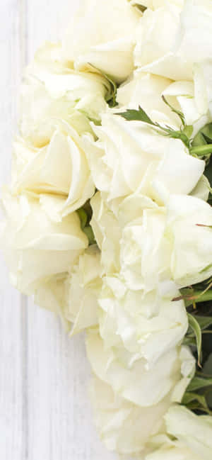 Beautiful And Fragrant White Roses On A Background Of An Iphone Wallpaper