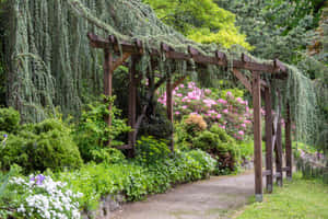 Beautiful And Tranquil Garden Design With Water Feature Wallpaper