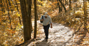 Beautiful Autumn Hiking Trail Wallpaper