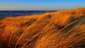 Beautiful Autumn Wind Scenery Wallpaper