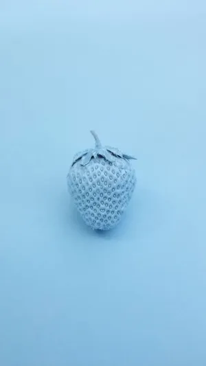 Beautiful Baby Blue Strawberry Wallpaper