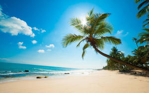 Beautiful Beach With Fine White Sands Wallpaper