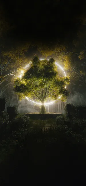 Beautiful Beachscape Iphone Wallpaper Wallpaper