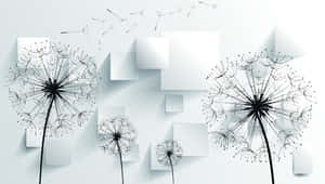 Beautiful Black And White 1280 X 725 Wallpaper Wallpaper