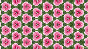 Beautiful Blooming Roses Pattern Wallpaper Wallpaper