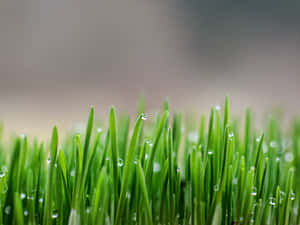 Beautiful Blue Sky Wallpaper