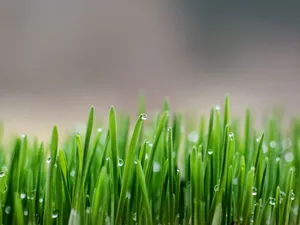 Beautiful Blue Sky Wallpaper