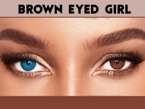 Beautiful Brown Eyed Girl Posing Wallpaper