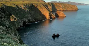 Beautiful California Island With Pristine Beaches And Lush Green Mountains In The Sunset. Wallpaper