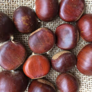 Beautiful Chestnut Placed On Wooden Surface Wallpaper