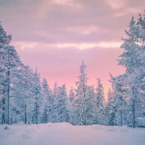 Beautiful Cloudy Sunset Cozy Winter Aesthetic Photography Wallpaper
