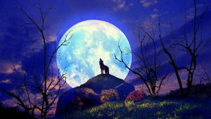 Beautiful Cool Full Moon Wallpaper