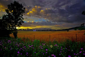 Beautiful Country Scene In The Fields Wallpaper