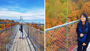 Beautiful Fall Bridge Scenery Wallpaper