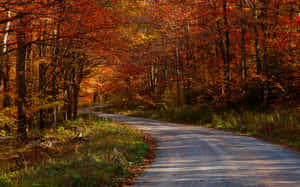 Beautiful Fall Country Landscape Wallpaper