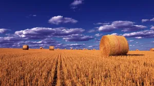 Beautiful Fall Harvest Scene Wallpaper