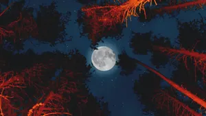 Beautiful Full Moon Above Orange Trees Wallpaper