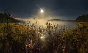 Beautiful Full Moon Over Foggy Swamp Wallpaper