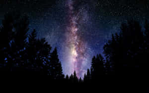 Beautiful Galaxy In A Dark Forest Wallpaper