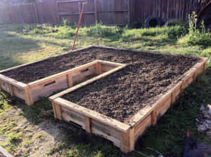 Beautiful Garden Bed Making The Most Of Summer Wallpaper