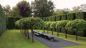 Beautiful Garden Design Featuring Lush Greenery And Well-arranged Plants Wallpaper