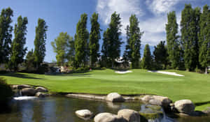 Beautiful Golf Course With Stunning Greenery Wallpaper