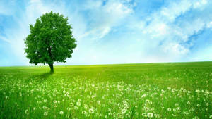 Beautiful Green Nature Painting Wallpaper