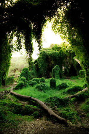 Beautiful Greenery Secret Garden Wallpaper