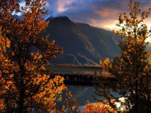 Beautiful Landscape Mountain Between Trees Wallpaper