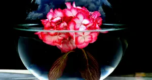 Beautiful Landscape Of The Serene Zermatt Valley Wallpaper