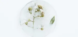 ‘beautiful Landscape With Green Hills And Blue Sky’ Wallpaper