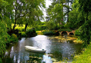 Beautiful Landscape With Pond Wallpaper