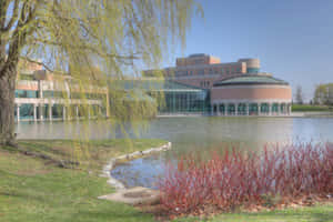 Beautiful Markham Sunset Scenery Wallpaper