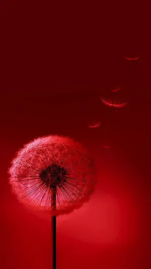 Beautiful Milky Way Wallpaper